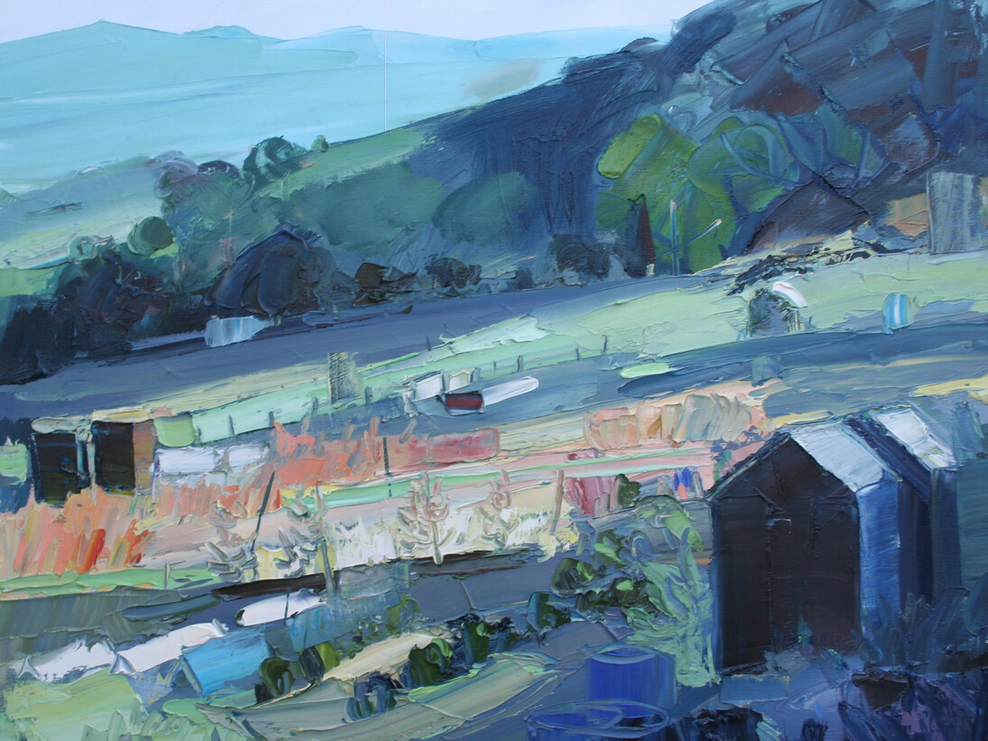 Allotment With Blue Shed