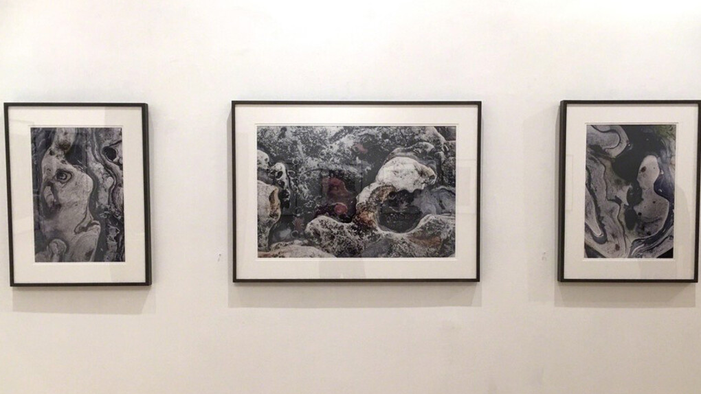 Portraits of Point Lobos. Courtesy of Viridian Artists