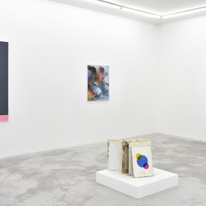 Jim Isermann & Praz-Delavallade Paris, Los Angeles
