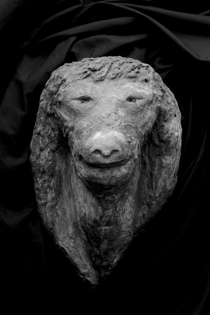 Aurélien Froment, Tombeau idéal de Ferdinand Cheval (détail), 2014, Tirage pigmentaire sur papier baryté, Courtoisie de l'artiste, Marcelle Alix, Paris et Motive Gallery, Bruxelles  