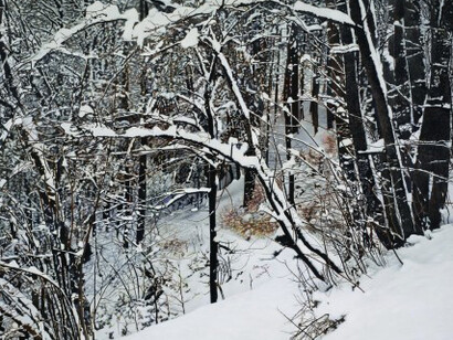 Franz Gertsch. Courtesy of Museum Franz Gertsch