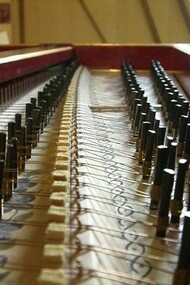 Wrestpins rows