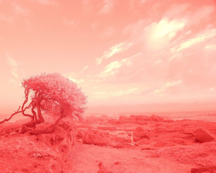 Landscape with a Ruin. Courtesy of Mona Bismarck American Center