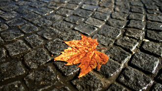 Autunno: passaggio di stagione dall’estate all’inverno