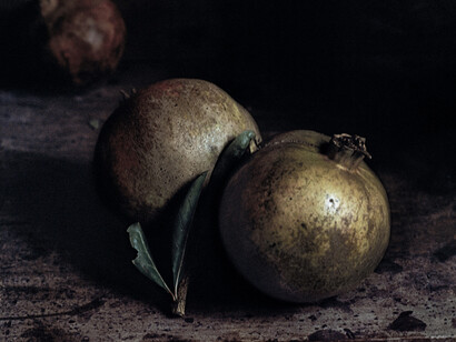Craigie Horsfield - Two pomegranates. Via Chiatamone, Naples. November 2009 - 2013
Stampa su tavola preparata con gesso e cera
80×75×3,3 cm- Courtesy l’artista e Large Glass, Londra