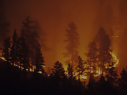 Through the harrowing scenes of the Smokehouse Creek Fire, where a Texas countryside forest succumbs to flames and billowing smoke during the evening, encapsulating the urgent reality of a Texas wildfire crisis
