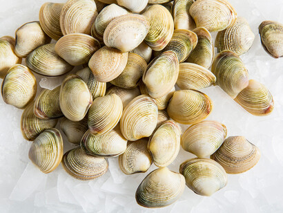 Le vongole sono un alimento salato naturalmente