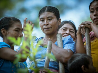 A group of children in a forest in Jocotán, Chiquimula, Guatemala, holding seedlings as part of a Sustainable Development Goals climate action initiative