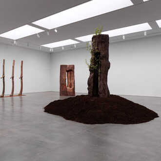 Giuseppe Penone, The reflection of bronze, exhibition view. Courtesy of Gagosian