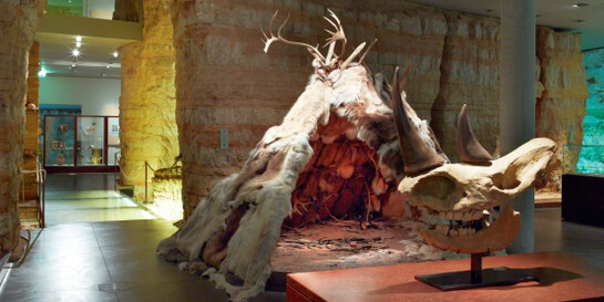 Archaeology. Courtesy of MNHA