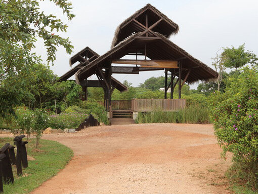Diyasaru Wetland has been landscaped for urban residents ©  Gehan de Silva Wijeyeratne