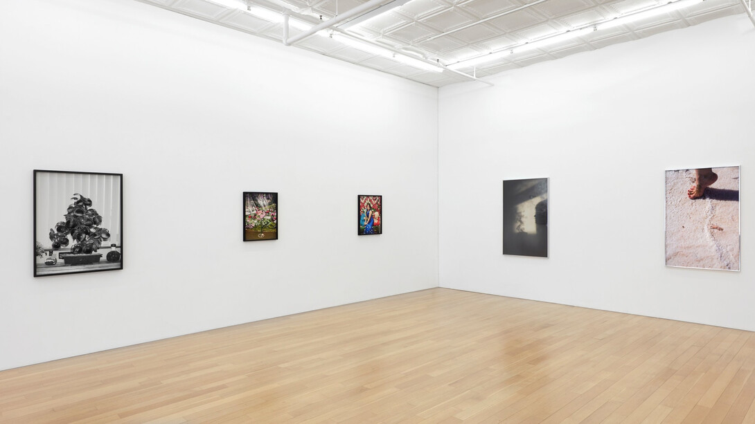 Various artists, Traces of us recent photography, exhibition view. Courtesy of Peter Blum Gallery 