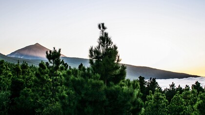Vista panorámica de Tenerife. Foto: Ramón Pérez