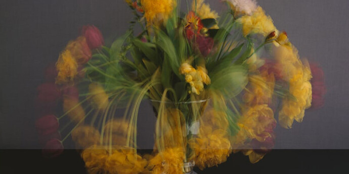 Michael Wesely. Courtesy of Casa Nova Arte e Cultura Contemporanea