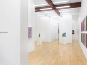 Abdolreza Aminlari, Border, exhibition view. Courtesy of Andrew Rafacz