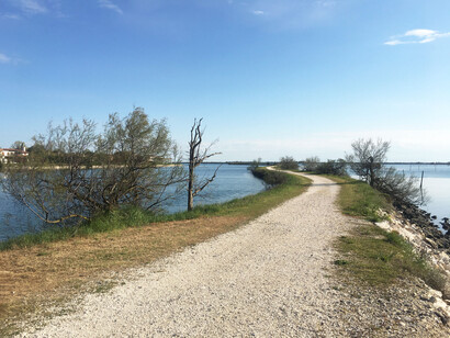 Lembi di terra nella Laguna