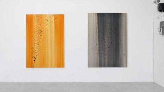 Compact Chaos. Courtesy of Ribordy Contemporary