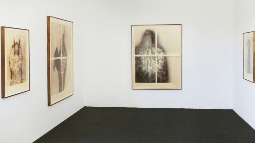 Ann Hamilton, Exhibition view. Courtesy of Gemini G.E.L.