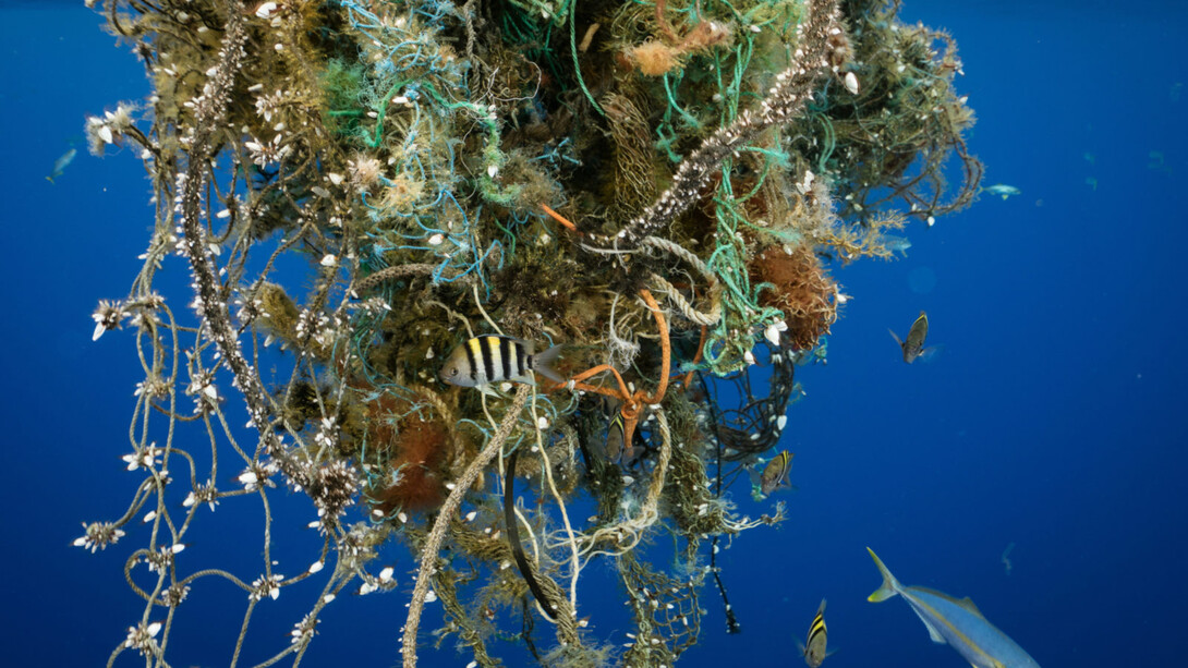 A partial underwater view with sea life surrounding it, of the Great Pacific Garbage Patch/Gyre, located between California and Hawaii, photo by Justin Hofman at Greenpeace
