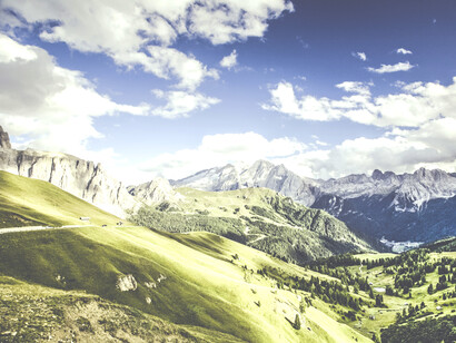Los resultados son abrumadoramente positivos hacia los biotopos urbanos