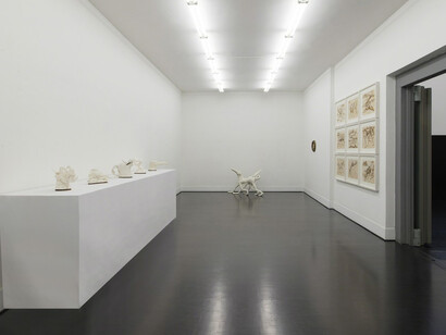 Museo di Storia Innaturale. Courtesy of Galleria Pack