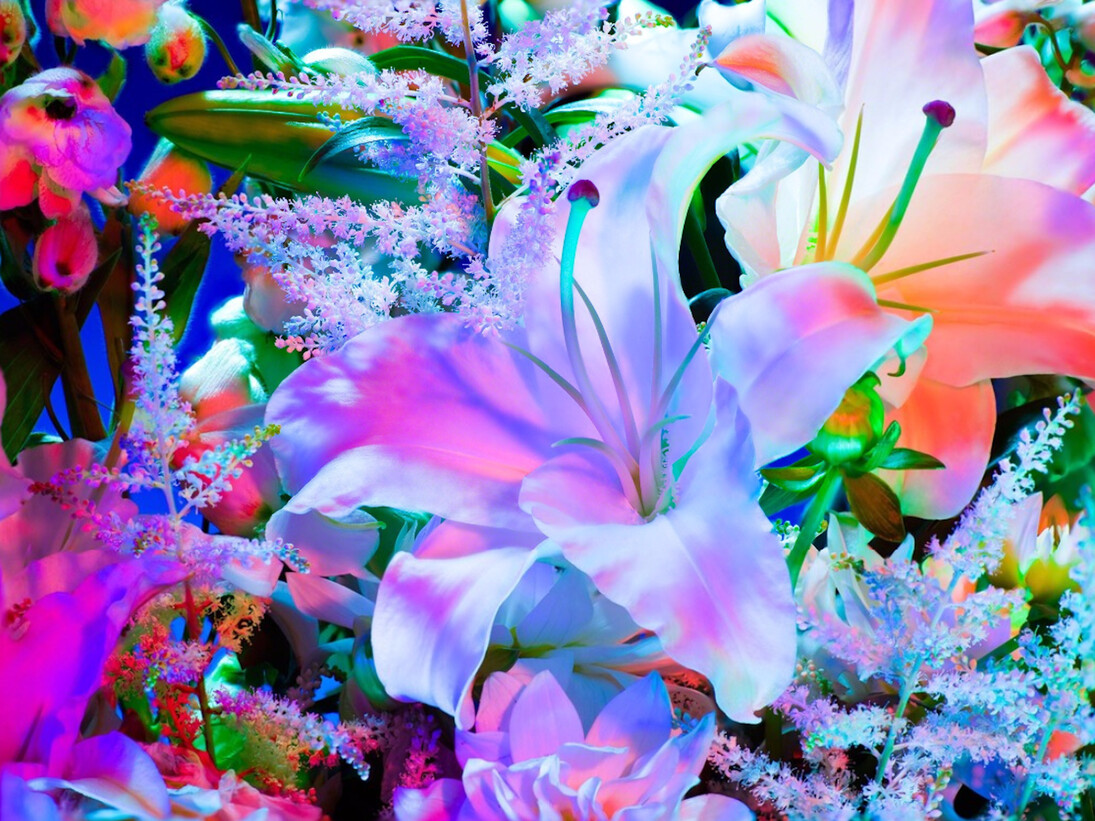 Torkil Gudnason, Electric Blossom #1123, 2012. Courtesy of Fahey/Klein Gallery