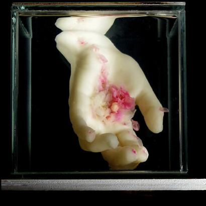 Isabel Consigliere. Courtesy of Luisa Catucci Gallery