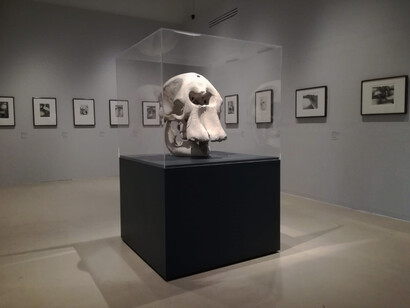 Henry Moore: l'arte è una espressione del significato della vita