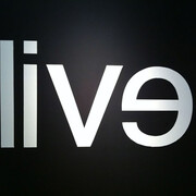 Kendell Geers, Evil : Live, 2002, peinture murale noire sur peinture blanche lettres apparaissant grâce à des réserves, 220 x 260 cm. © ADAGP, Paris, 2017