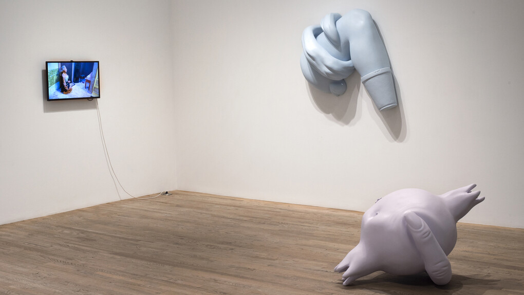 Vicious Frames. Courtesy of Postmasters Gallery