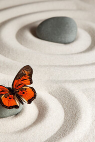 Mindfulness e risorse interiori. La mindfulness non è una pratica magica, non c’è bisogno di cadere in trance, non si fanno sedute spiritiche, essa ci insegna (o forse lo sappiamo già fare) ad attingere alle nostre risorse, semplicemente
