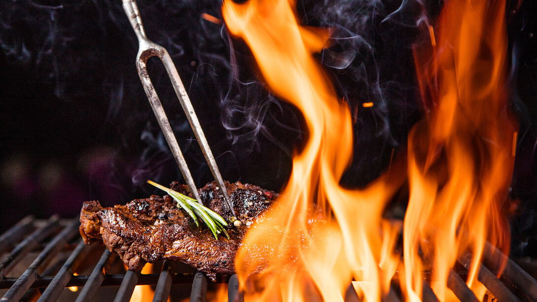 Nadie había previsto que aquella pareja que decía llamarse Colmenero se presentase al asado sin haber sido invitada
