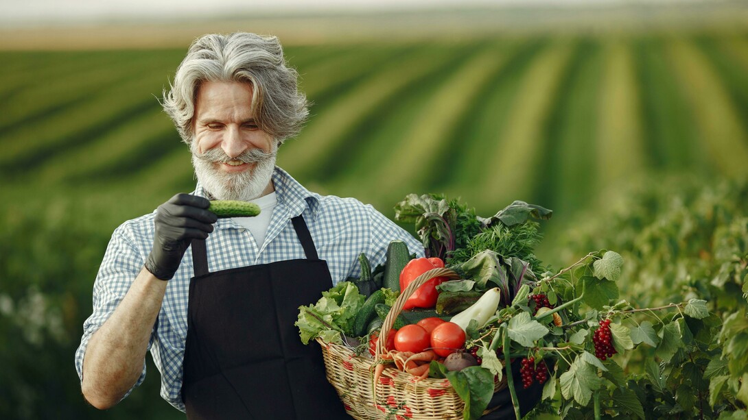 A smiling elderly man stands in a sunlit farm, holding a basket filled with fresh vegetables