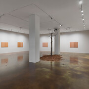 Nature rules, exhibition view. Courtesy of Kukje Gallery 