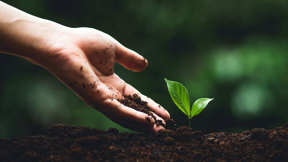 The goal is building an ecological civilization