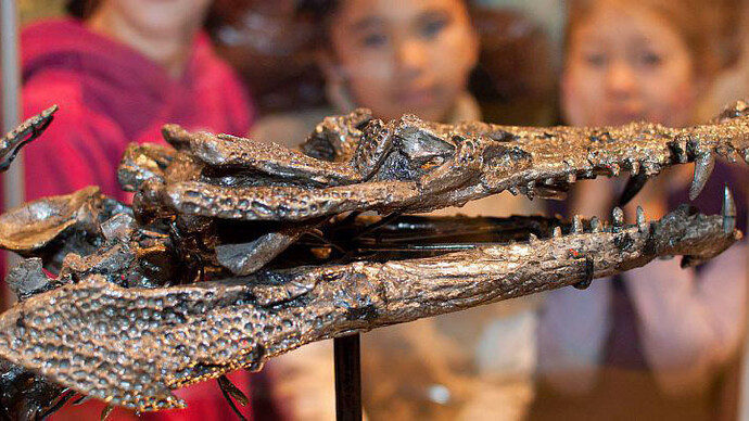 Galerie des Dinosaures. Courtesy of Royal Belgian Institute of Natural Sciences