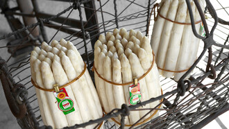 Asparagi bianchi di Bassano Dop pronti per la vendita