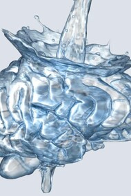 Is it possible that water can “remember” where it has been, what has been near it, and who has handled it in the past?