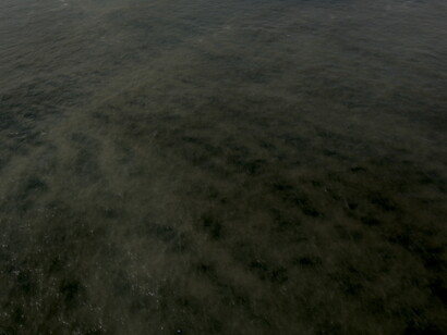 Degradação oceânica. Fotografia de Mario Moscatelli