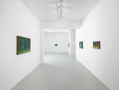 Xie Lei, Mort heureuse, vue de l'exposition. Avec la courtoisie de Semiose Gallery