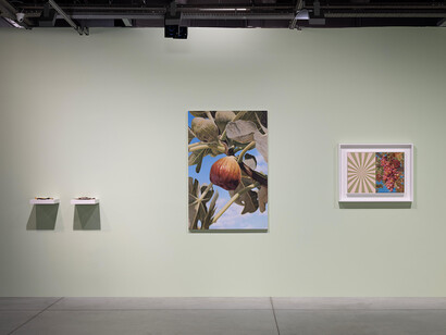 Mustafa Hulusi, Breathing in the world, exhibition view. Courtesy of Dirimart