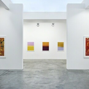 James Welling. Chronology, Exhibition view. Courtesy of Marian Goodman Gallery