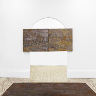 Taylah Hasaballah, Indicatrix: time leaks. Causes of extinction unknown, vista della mostra. Cortesia di The Address