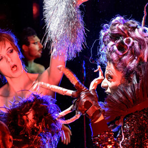 Ugly duckling. Mit freundlicher genehmigung des Deutschen Theaters