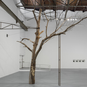 Zoe Leonard. Courtesy of MOCA Geffen