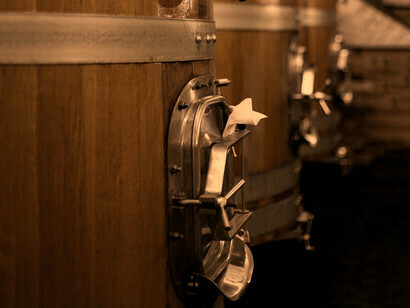 Vitigni autoctoni vinificati con metodi tradizionali: la filosofia di Angelo Negro e Figli
