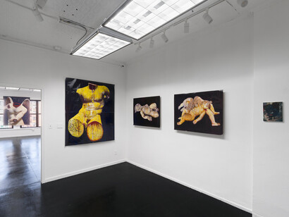 Andres Serrano and Benjamin Bertocci, In battle or in vain, exhibition view. Courtesy of Lubov 