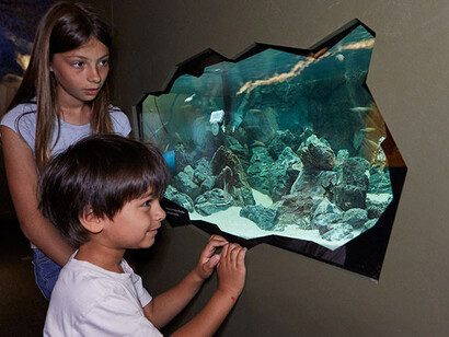 Life in the dark. Courtesy of Natural History Museum