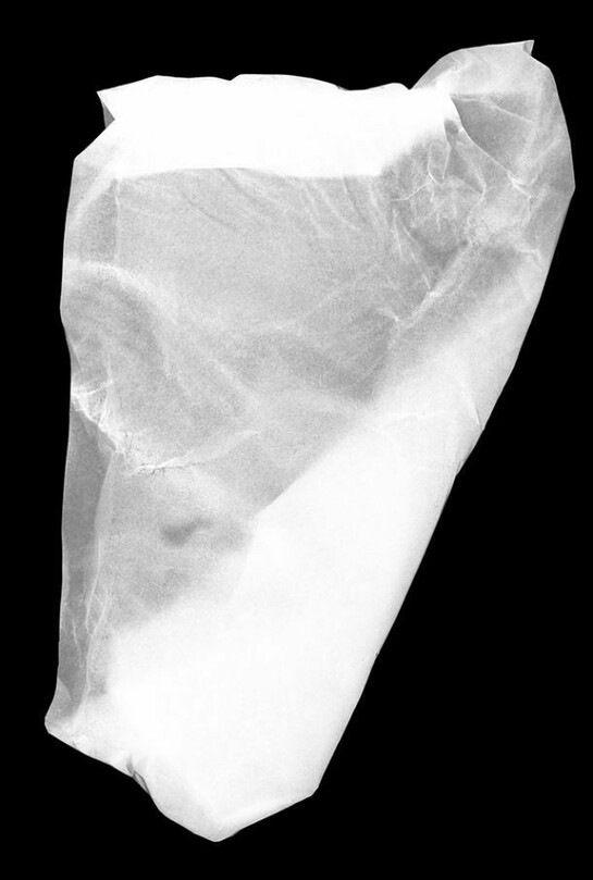 Pádraig Spillane, Distraction, 2013, 406.4mm x 512mm, digital pigment print