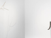 Natura Naturans. Courtesy of Mendes Wood DM
